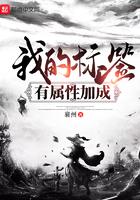 标签属性是什么