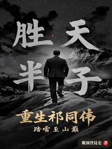 踏雪至山巅无弹窗