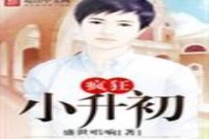 疯狂小学生第15集