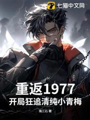 重返1977txt八零
