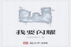 我要闪耀原唱是谁唱的